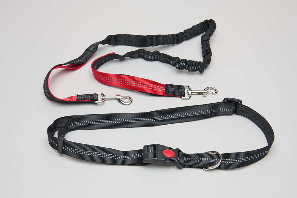 Exemple de Laisse de traction pour chien